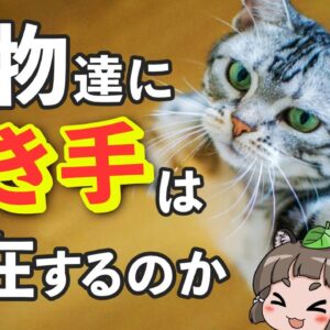 【疑問】動物に利き手は存在するのか？