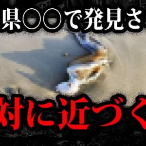 日本でも発見された…ヤバすぎる海からの漂流物１０選【ゆっくり解説】
