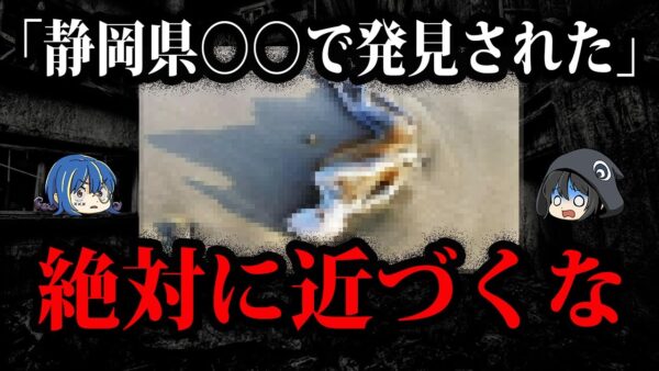 日本でも発見された…ヤバすぎる海からの漂流物１０選【ゆっくり解説】