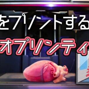 【ゆっくり解説】生命を印刷できる技術、バイオプリンティングの世界