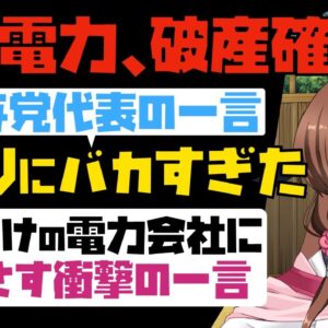 【ゆっくり解説】韓国与党代表がヤバすぎる！赤字垂れ流しまくりで瀕死の電力会社に言った一言がイカレてた【海外の反応】