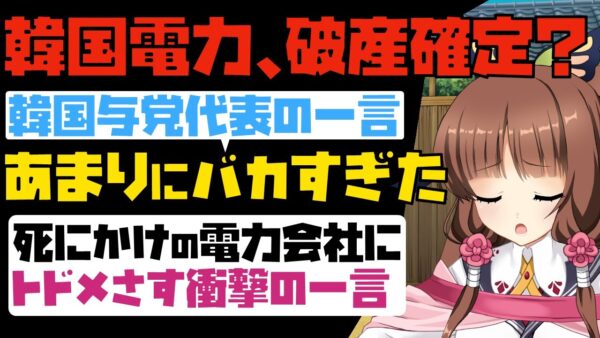 【ゆっくり解説】韓国与党代表がヤバすぎる！赤字垂れ流しまくりで瀕死の電力会社に言った一言がイカレてた【海外の反応】