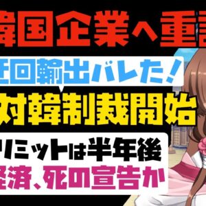 【ゆっくり解説】韓国企業、ついにアメリカから制裁を食らう！半年後の期限に半導体に同じことが起きると、韓国は経済壊滅不可避か！【海外の反応】