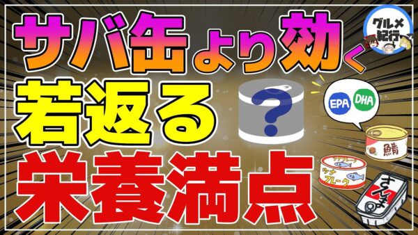 【ゆっくり解説】血管を若返らせてメタボも抑制！サバ缶より効果のある缶詰