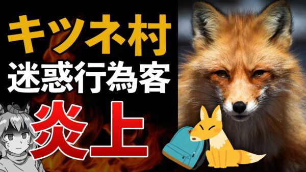 【炎上】キツネ村で自作自演の迷惑行為！？とある動画が大問題に…