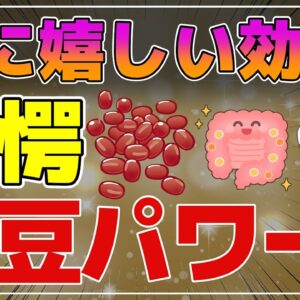 【ゆっくり解説】小豆を毎日食べると…小豆ポリフェノールの威力！驚きの健康効果が凄かった！