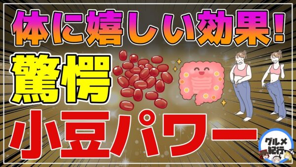 【ゆっくり解説】小豆を毎日食べると…小豆ポリフェノールの威力！驚きの健康効果が凄かった！