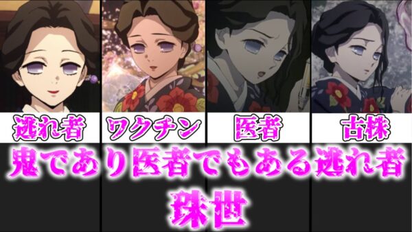 【ゆっくり解説】鬼であり医者の逃れ者 珠世【鬼滅の刃】