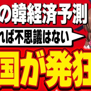 【韓国経済】野村が出していた韓国マイナス成長に大発狂する韓国報道【ゆっくり解説】