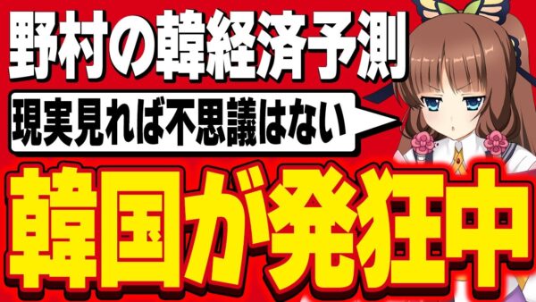 【韓国経済】野村が出していた韓国マイナス成長に大発狂する韓国報道【ゆっくり解説】