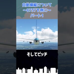 オートパイロットについて（パート1） #shorts