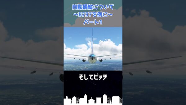 オートパイロットについて（パート1） #shorts