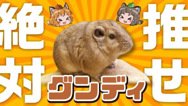 【推しの子】もっと推してけ！グンディの可愛さ拡散希望！【へんないきもの#102】