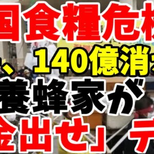 【ザ！韓国仰天ニュース】韓国からハチが140億匹消える！養蜂家は自然災害だから補償城と発狂！今年の食事情は地獄か【ゆっくり解説】【海外の反応】