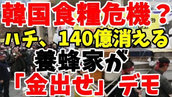 【ザ！韓国仰天ニュース】韓国からハチが140億匹消える！養蜂家は自然災害だから補償城と発狂！今年の食事情は地獄か【ゆっくり解説】【海外の反応】