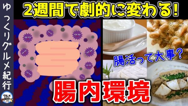 【ゆっくり解説】2週間で劇的に変わる！腸内環境を整えるポイント！腸活に毎日食べたいのは？