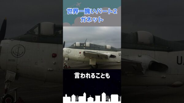 世界で最も醜い航空機パート2「ガネット」 #shorts