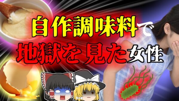 【2007年】添加物を気にして''自作調味料''で地獄の苦しみに遭った女性…『サルモネラ・エンテリティディス食中毒』【ゆっくり解説】