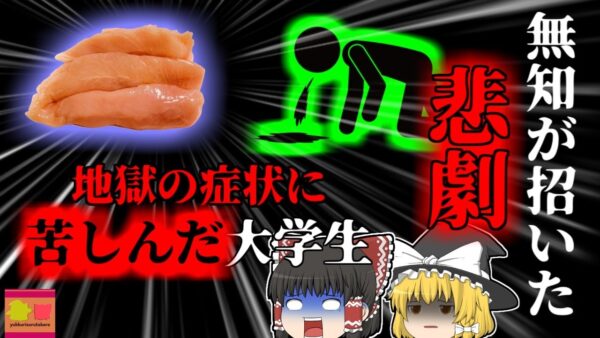 【2008年】宅呑みをしていた大学生たち 数日後の地獄の苦しみを味わう…原因は主催者が提供していた郷土料理？ 家庭で作るにはリスクの高い''ある食品''「カンピロバクター食中毒」【ゆっくり解説】