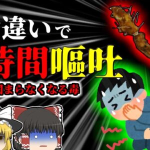 【2009年】「あ！庭に自然薯生えてる！食べてみよう」→