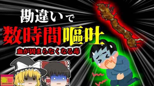 【2009年】「あ！庭に自然薯生えてる！食べてみよう」→