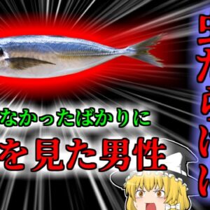 【2010年】原因不明の地獄の症状で運び込まれた男性 検査をすると腸が虫だらけに…知識不足が招いた悲劇『生・しめアジ寄生虫食中毒』 【ゆっくり解説】