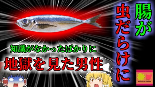 【2010年】原因不明の地獄の症状で運び込まれた男性 検査をすると腸が虫だらけに…知識不足が招いた悲劇『生・しめアジ寄生虫食中毒』 【ゆっくり解説】