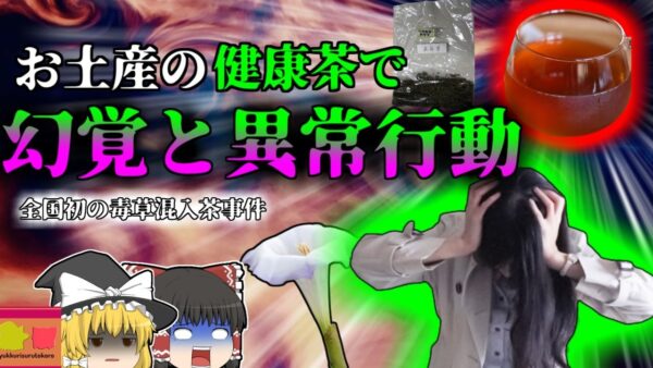 【2012年】健康茶で幻覚・錯乱状態になった夫婦 沖縄土産のお茶には何が入っていた？ 『スコポラミン幻覚食中毒』【ゆっくり解説】