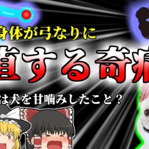 【2012年】愛犬に