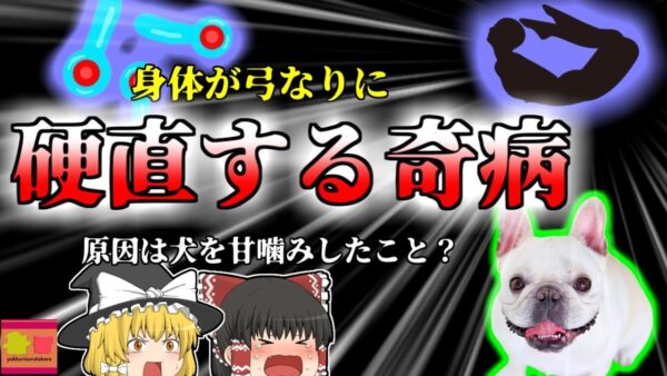 【2012年】愛犬に