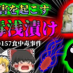 【2012年】信じられない杜撰な工場 汚染白菜漬物で169名が犠牲になった 『北海道O157食中毒事件』【ゆっくり解説】