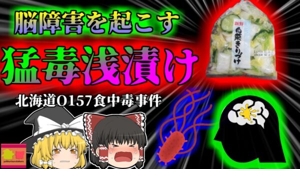 【2012年】信じられない杜撰な工場 汚染白菜漬物で169名が犠牲になった 『北海道O157食中毒事件』【ゆっくり解説】