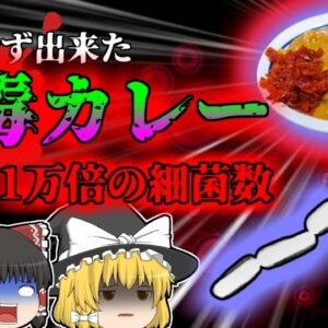 【2017年】意図せず作ってしまった''猛毒カレー''児童70名が突然苦しみだす事態に…二日目のカレーに潜むリスク【ゆっくり解説】
