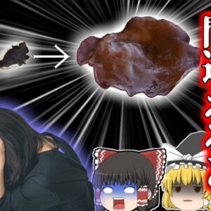 【2018年】ラーメン好きのOLに襲い掛かった