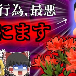 【2019年】子供のころやっていた