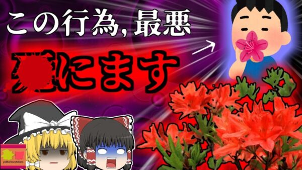 【2019年】子供のころやっていた