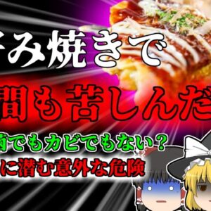 【2020年】硬めに作ったお好み焼きで命の危機 細菌でもカビでもない 小麦粉独自の危険性 【ゆっくり解説】