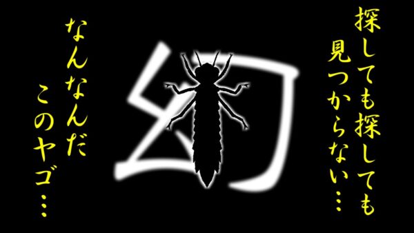 【ゆっくり解説】#37 サラサヤンマ～幻のヤゴ～