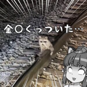 【珍事件】ハプニングをやらかしてしまった生き物5選