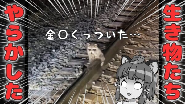 【珍事件】ハプニングをやらかしてしまった生き物5選