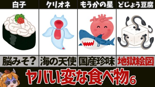 【奇食】世界のクレイジー過ぎる変な食べ物6選　パート6