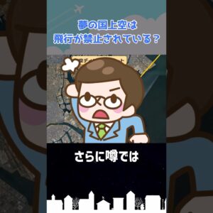 ディズニーランド上空は旅客機が飛べないってマ？ #shorts