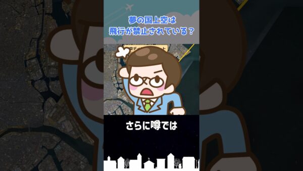 ディズニーランド上空は旅客機が飛べないってマ？ #shorts