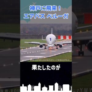 あまりにもインパクトの強すぎる貨物機がヤバイ #shorts