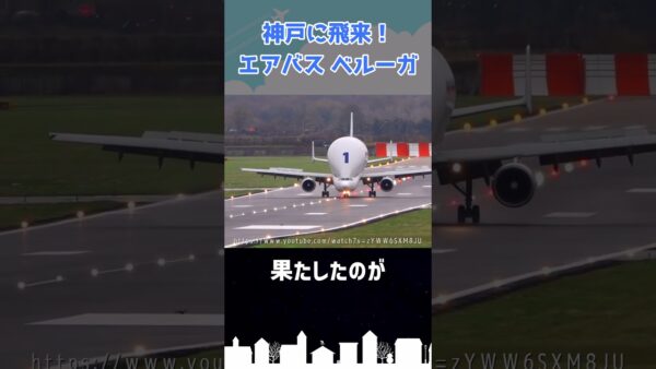 あまりにもインパクトの強すぎる貨物機がヤバイ #shorts