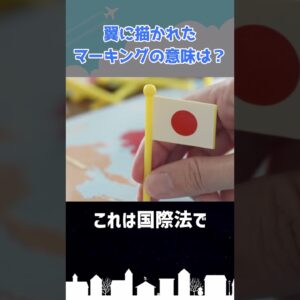 主翼に描かれたマーキングの意味はなに？ #shorts