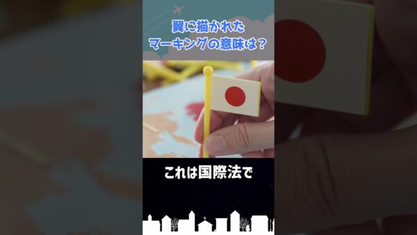 主翼に描かれたマーキングの意味はなに？ #shorts