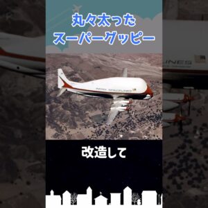 「世界一醜い」あまりに不名誉な称号を持つ航空機 #shorts