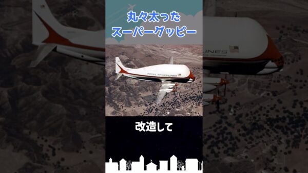 「世界一醜い」あまりに不名誉な称号を持つ航空機 #shorts