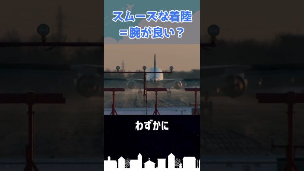 どんな時でもソフトに着陸するパイロットは腕がいい？ #shorts